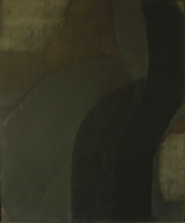 CSoilCompositionWithBlack(67)20x16