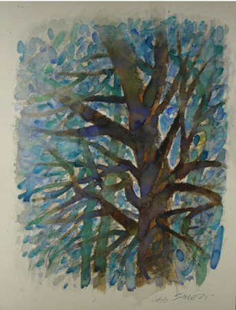 CSwcHighTrees24x18(66)
