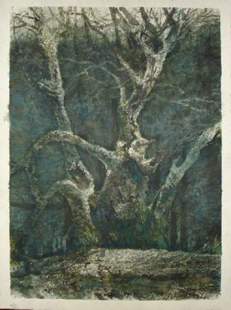 CSwcKingTree(70)24x18