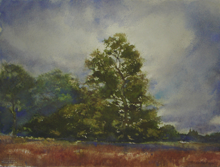CSwcKnightOak18x24(99)