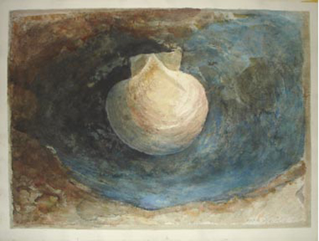 CSwcShellAndWater(71)18x24