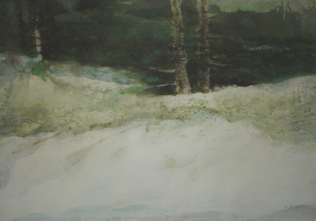 CSwcSnowWhiteWinterGreen(03)22x30
