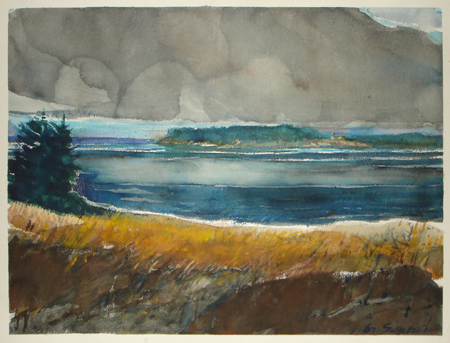 CSwcTeelIslandMaine(67)18x24