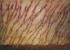 CSwc&scribeLavaFlow(76)22x30