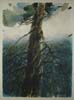 CSwcGrandfatherTree(68)24x18