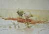 CSwcGulls(98)10x14