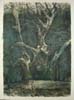 CSwcKingTree(70)24x18