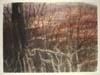 CSwcLateWinterWithTrees(68)18x24