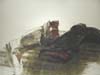 CSwcMaineStillLife(76)22x30