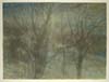 CSwcMoonlightTrees(nodate)18x24