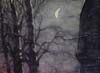 CSwcNightLight(97)22x30