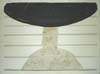 CSwcSeaBell(68)18x24