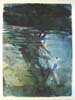 CSwcSeaReflections(66)24x18