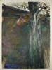 CSwcShedTree(72)24x18