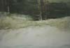 CSwcSnowWhiteWinterGreen(03)22x30