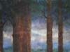 CSwcSpruceTrunks18x24(03)