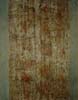 CSwcTreeSeries(75)28x22