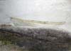 CSwcWhiteDory(74)22x30
