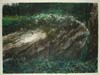 CSwcWildernessPeace(70)18x24