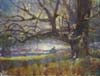 CSwcWinterOak18x24(99)